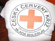 Malování na dřevěné magnetky